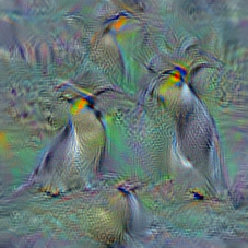 n02051845